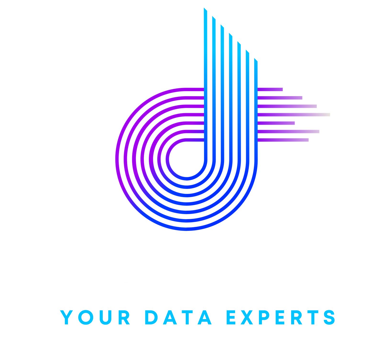 The Data Guyz : Your Data Experts